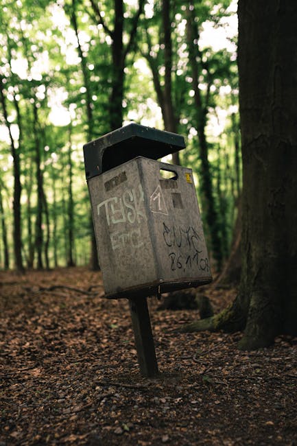 Kelsey Park bulky rubbish removal options in Beckenham